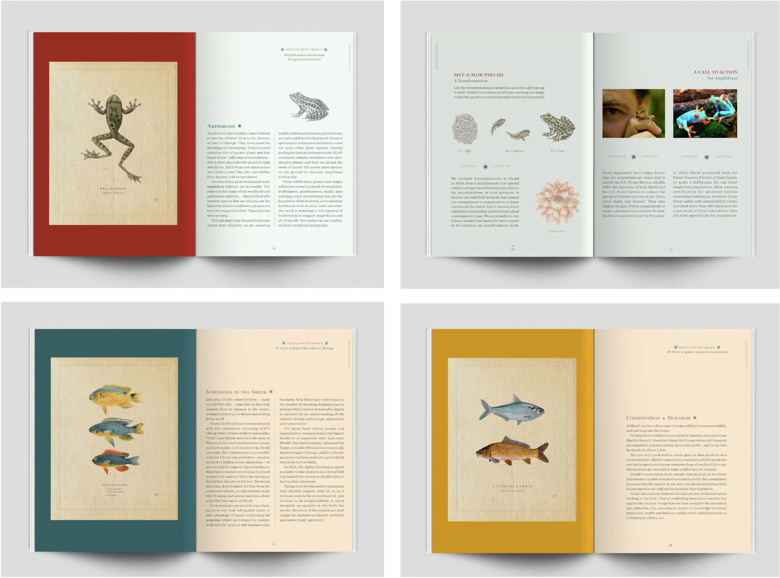 Shedd Aquarium Annual Report — image 6